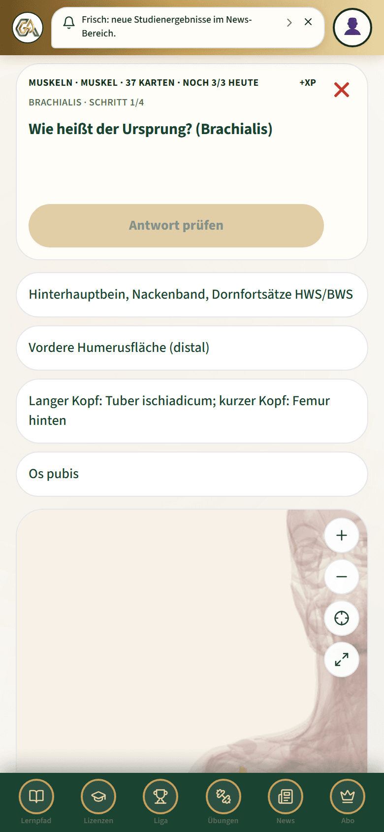 Fragen beantworten